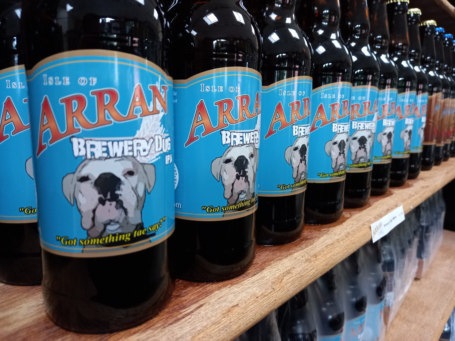Brewery Dug IPA 5.5% ABV 12 x 500ml Bottles