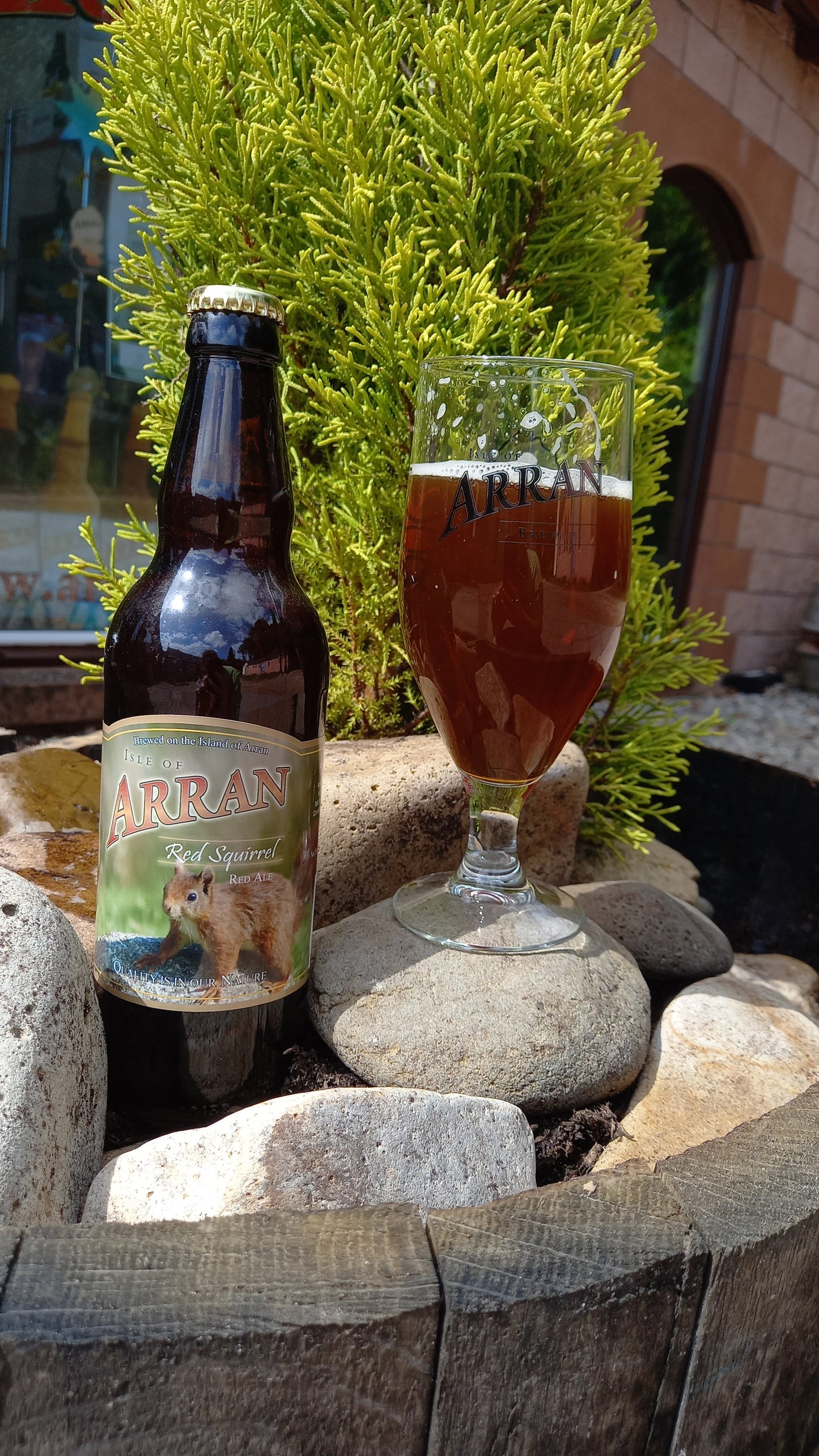 Red Squirrel 3.9% ABV - 12 x 500ml Bottles