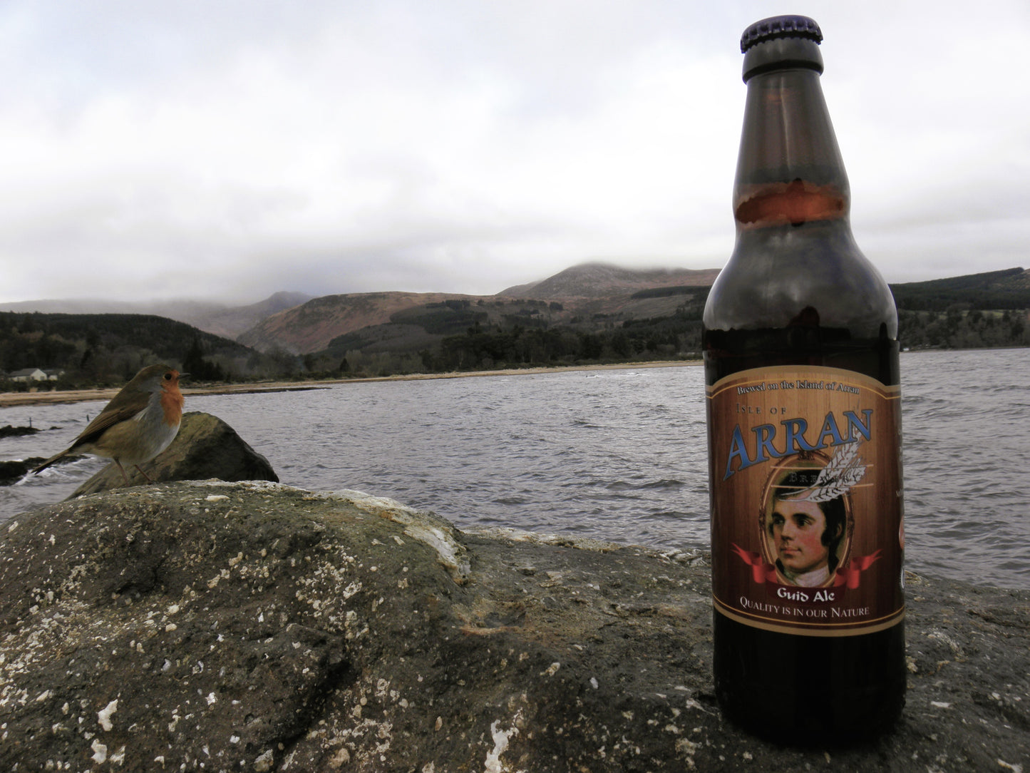 Guid Ale 3.8% ABV - 12x 500ml Bottles